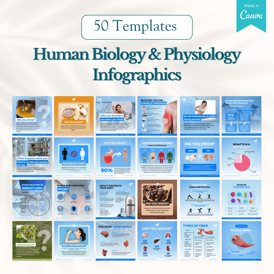 Fitness, Nutrition & Health Bundle - Social Media Templates