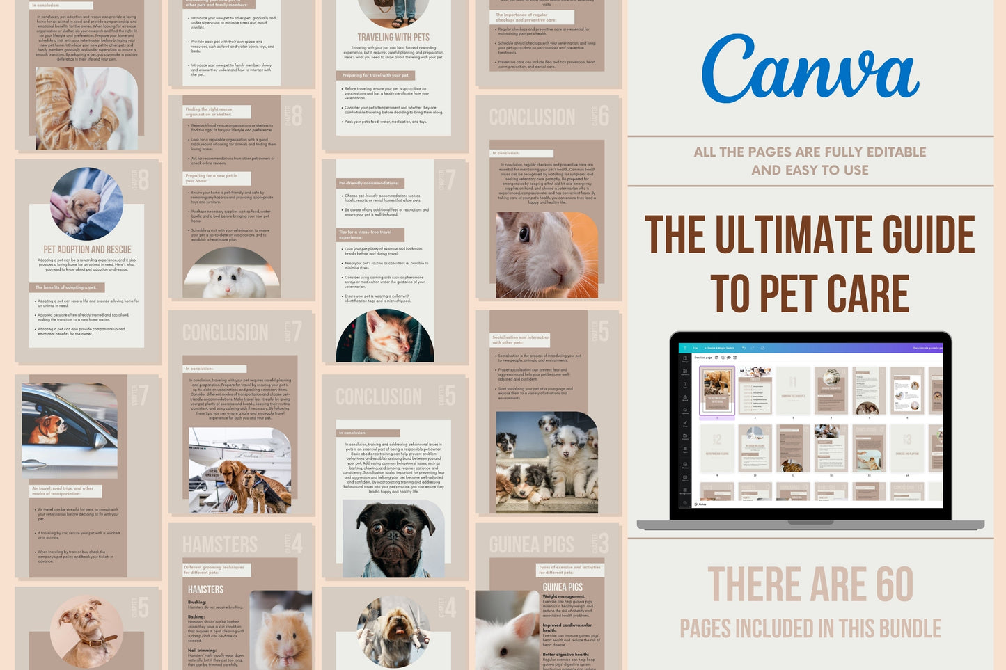 The ultimate guide to pet care - 60 Pages (Ebook)